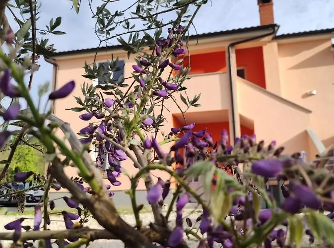 Apartman Tramonto